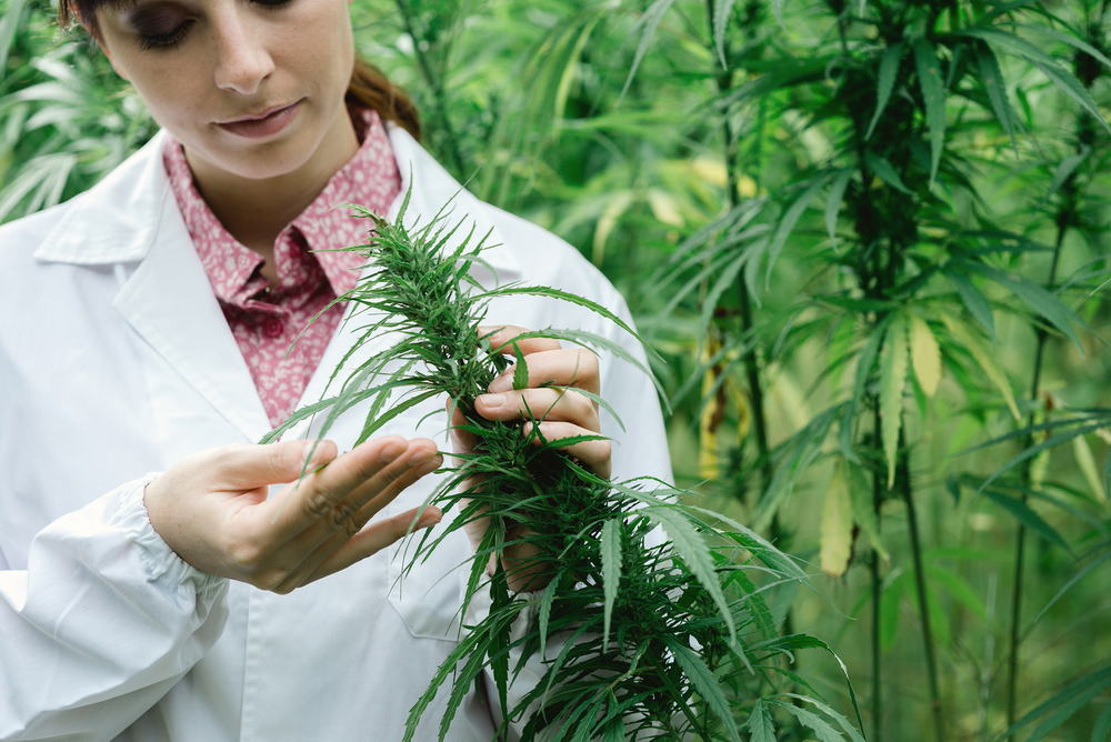 Is Industry Support for Cannabis Research a Genuine Conflict?